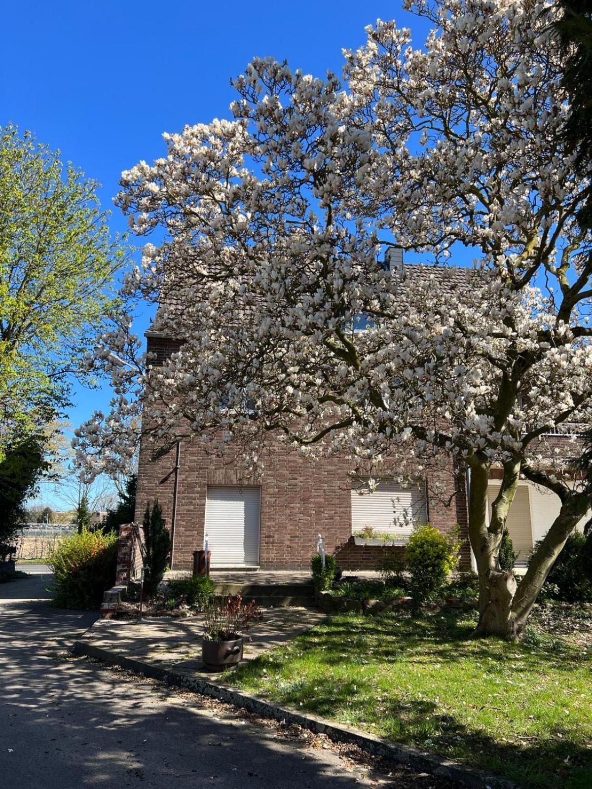 Haus Neuss-1.Og公寓 外观 照片